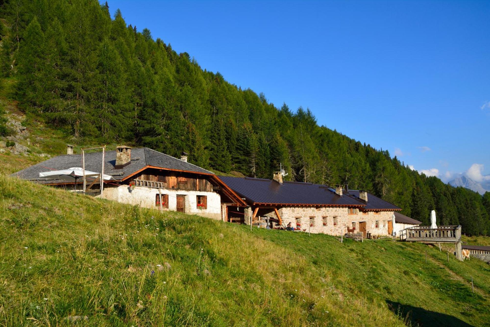 Nestalp Malga Campo Villa Peio Exterior foto